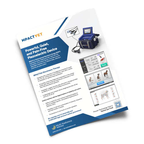 MPACTVet_BrochureDownload_Example MPACTVet_BrochureDownload_Example