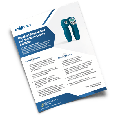 Website_ActiVET PRO_BrochureDownloads.001