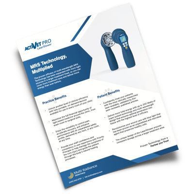 Website_ActiVET PRO_BrochureDownloads.002